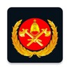 新岁乐看 